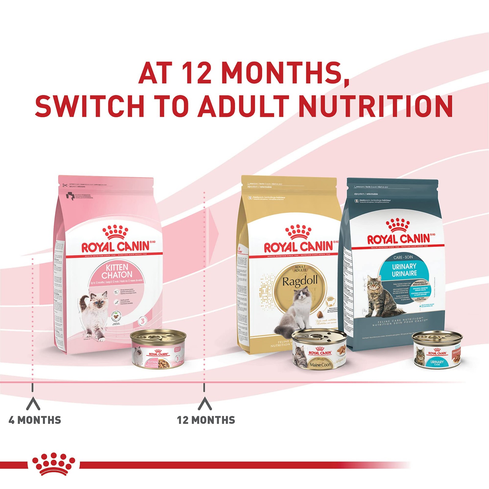 Royal Canin Feline Health Nutrition Kitten Thin Slices 3 Ounce (Pack of 12)