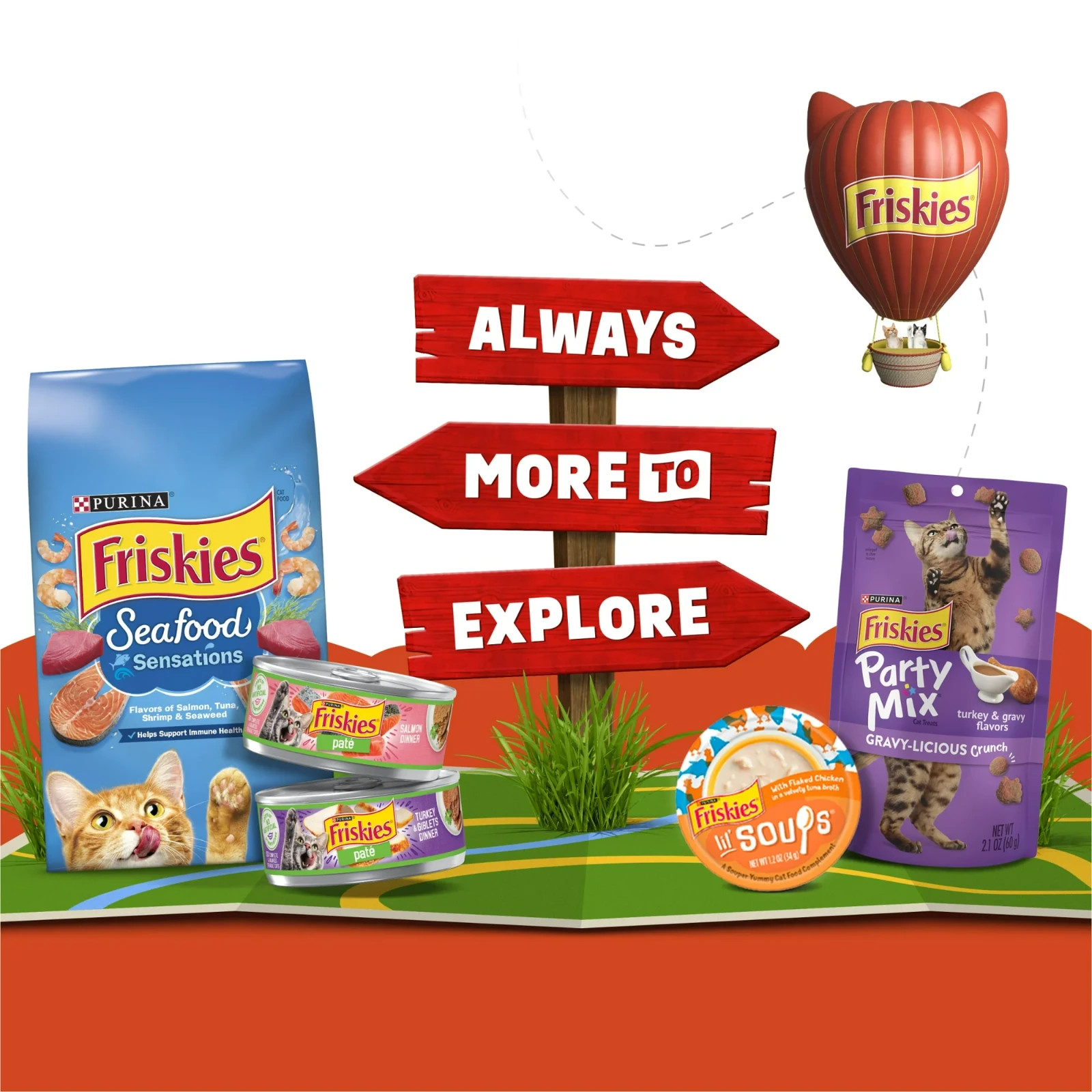 2 pack Purina Friskies Lil’ Soups Salmon and Tuna for Cats Variety Pack 1.2 oz