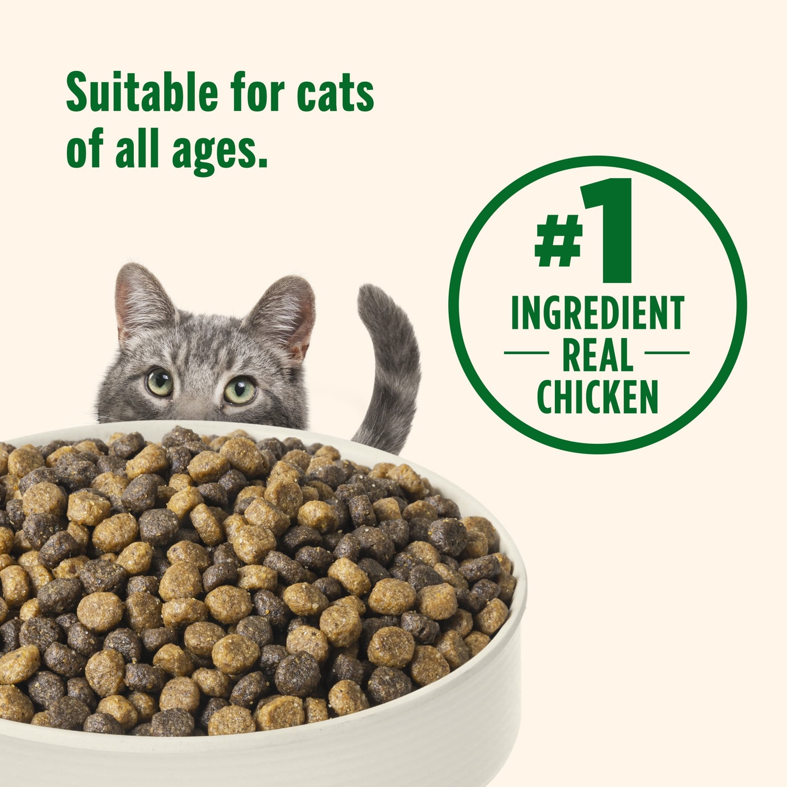 Real Chicken & Brown Rice Recipe Dry Cat Food, 6 lb. Bag (Rachael Ray)