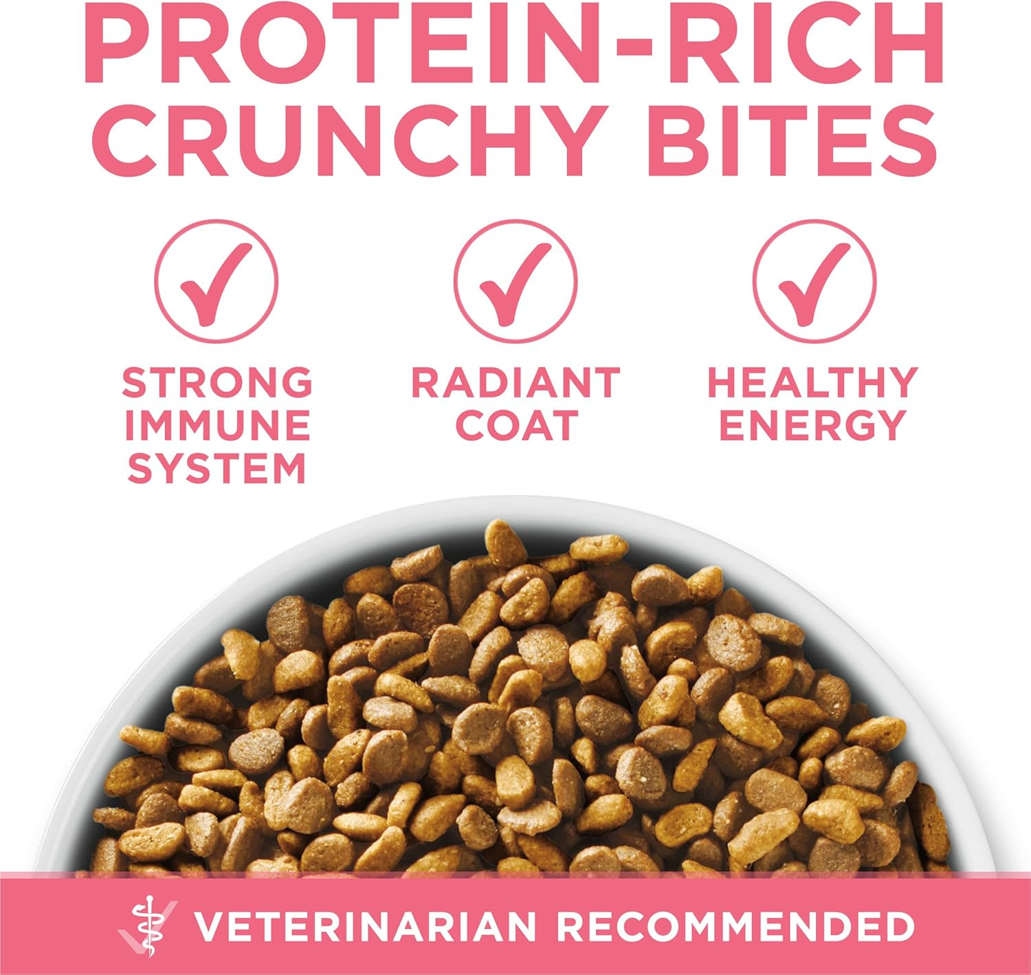 High Protein, Natural Dry Kitten Food, +Plus Healthy Kitten Formula – 7 Lb. Bag