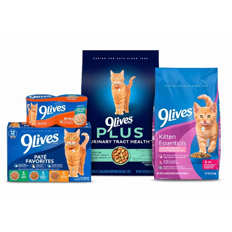 2x 9 Lives Indoor Complete Chicken & Salmon Dry Cat Food Pet Supplies Lot 3.15lb