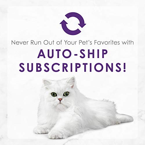 Purina Fancy Feast Delights Cheddar Grilled Chicken Turkey Or Whitefish And