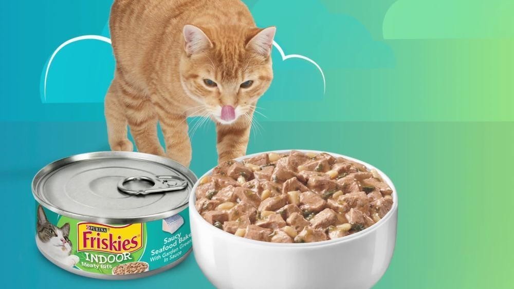 Indoor Wet Friskies Cat Food Chunks Variety Pack 5.5 oz Can 24 Pack Pet Supplies