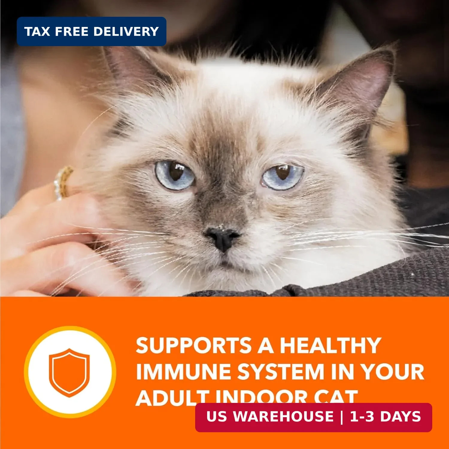 IAMS Perfect Portions Grain Free Wet Cat Food, Indoor Adult Cat Food Wet Cuts in