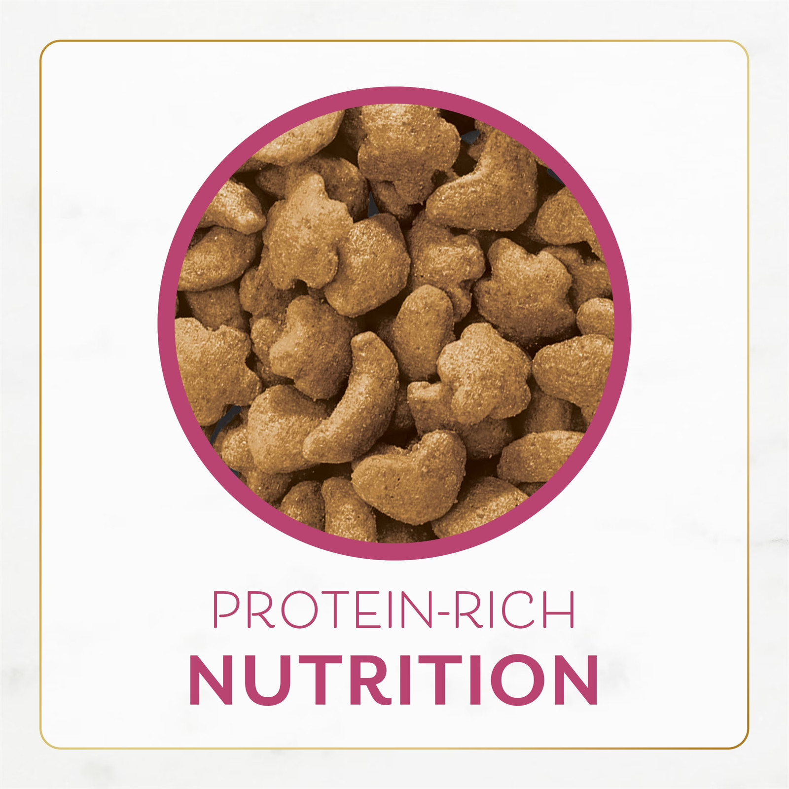 Purina Dry Cat Food Filet Mignon Flavor with Seafood and Shrimp