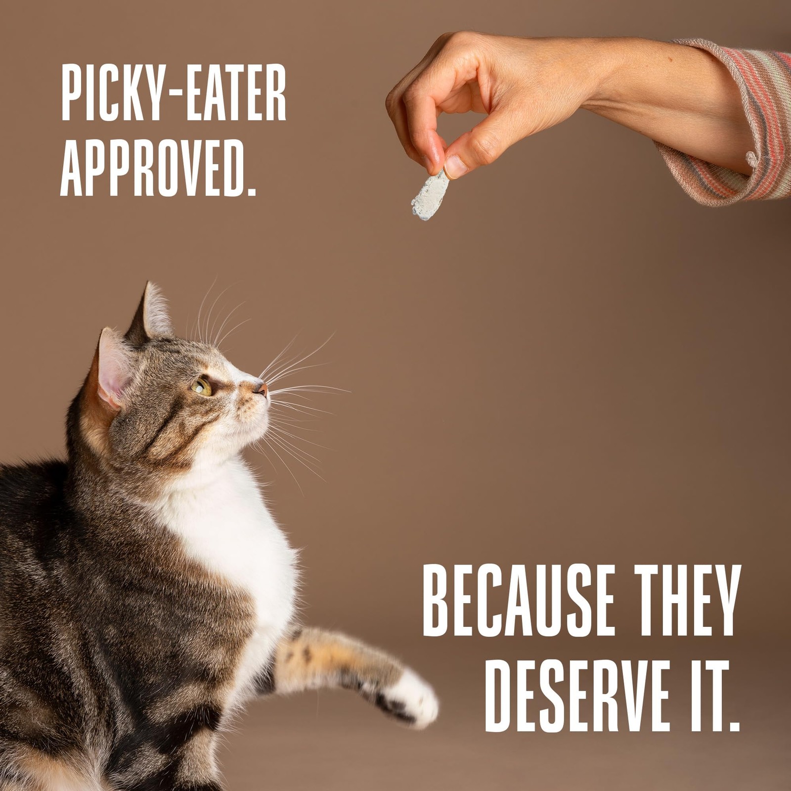 Whole Life Cat Just One Chicken Freeze Dried Cat Treats – Human Grade High Pr…