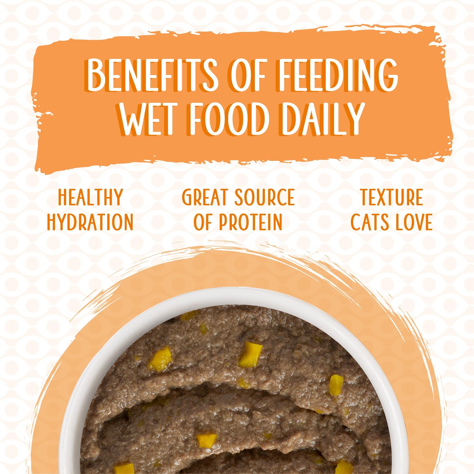 Weruva Wet Cat Food, Who Wants to be a Meowionaire with 3 Ounce (Pack of 12)
