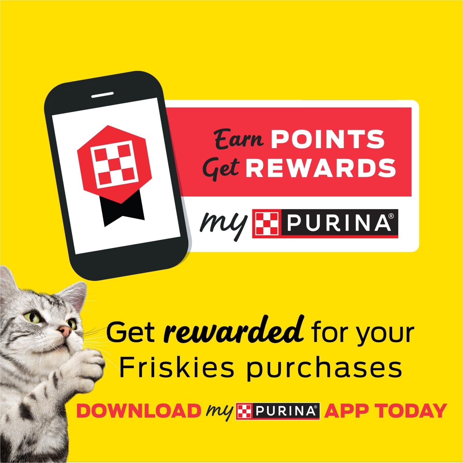 Purina Friskies Shreds With Salmon in Sauce Wet Cat Food – 5.5 Ounce (Pack of 24