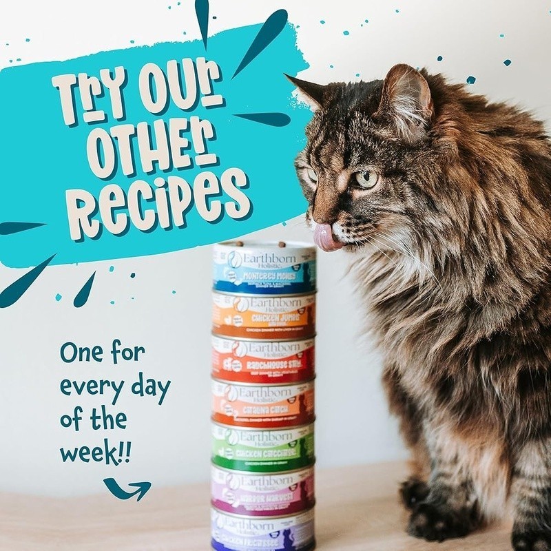 High Quality Tuna Mackerel Wet Cat Food Healthy Muscle Support Skin Coat Boost
