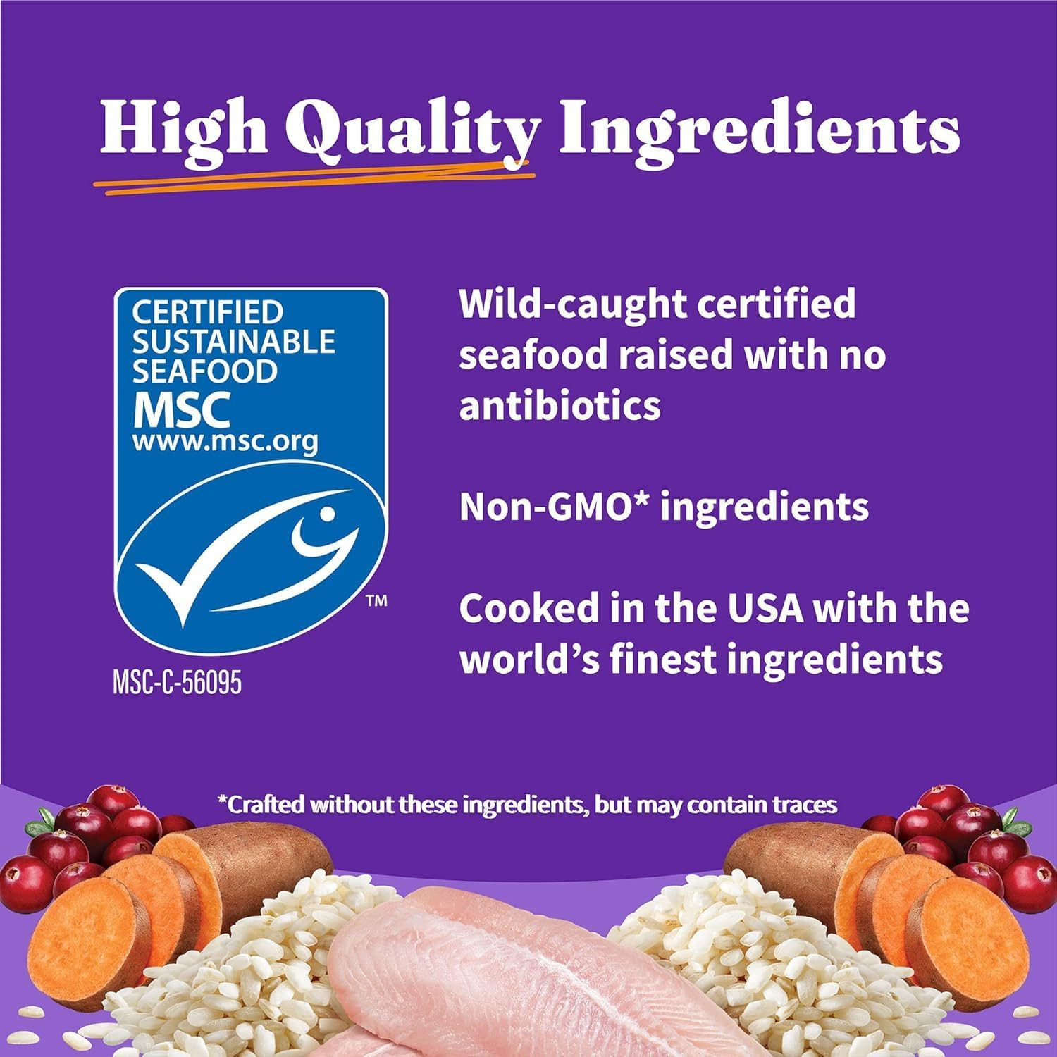 Holistic Cat Food Wild Caught Whitefish Formula, Healthy Grains Dry Cat Food, fo