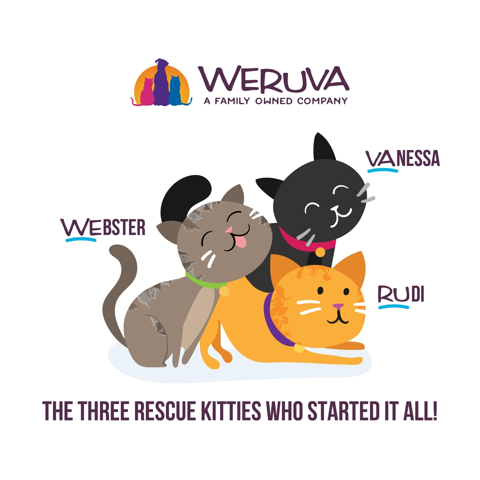 Weruva Kitchen Cuties Variety Pack Grain Free Cat Food 3.2oz Pack of 12 Cans