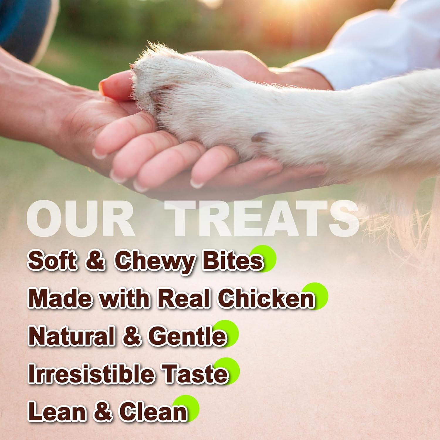 Soft Chicken Dog Treats, All Natural, High-Protein, Healthy & Easily Digestible,
