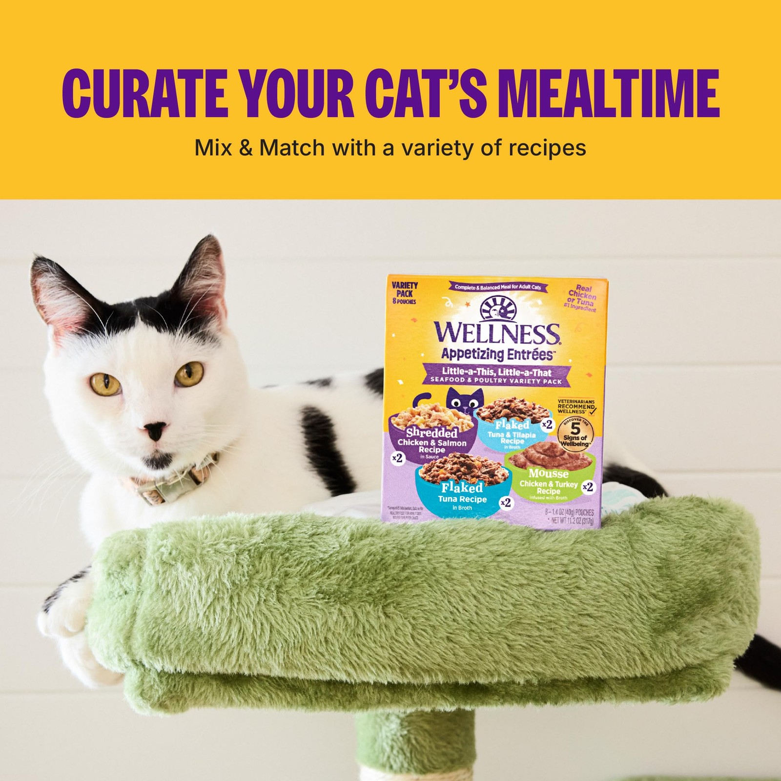 Appetizing Entrées Mousse Kitten Wet Cat Food, Natural, Protein Rich, Grain F…