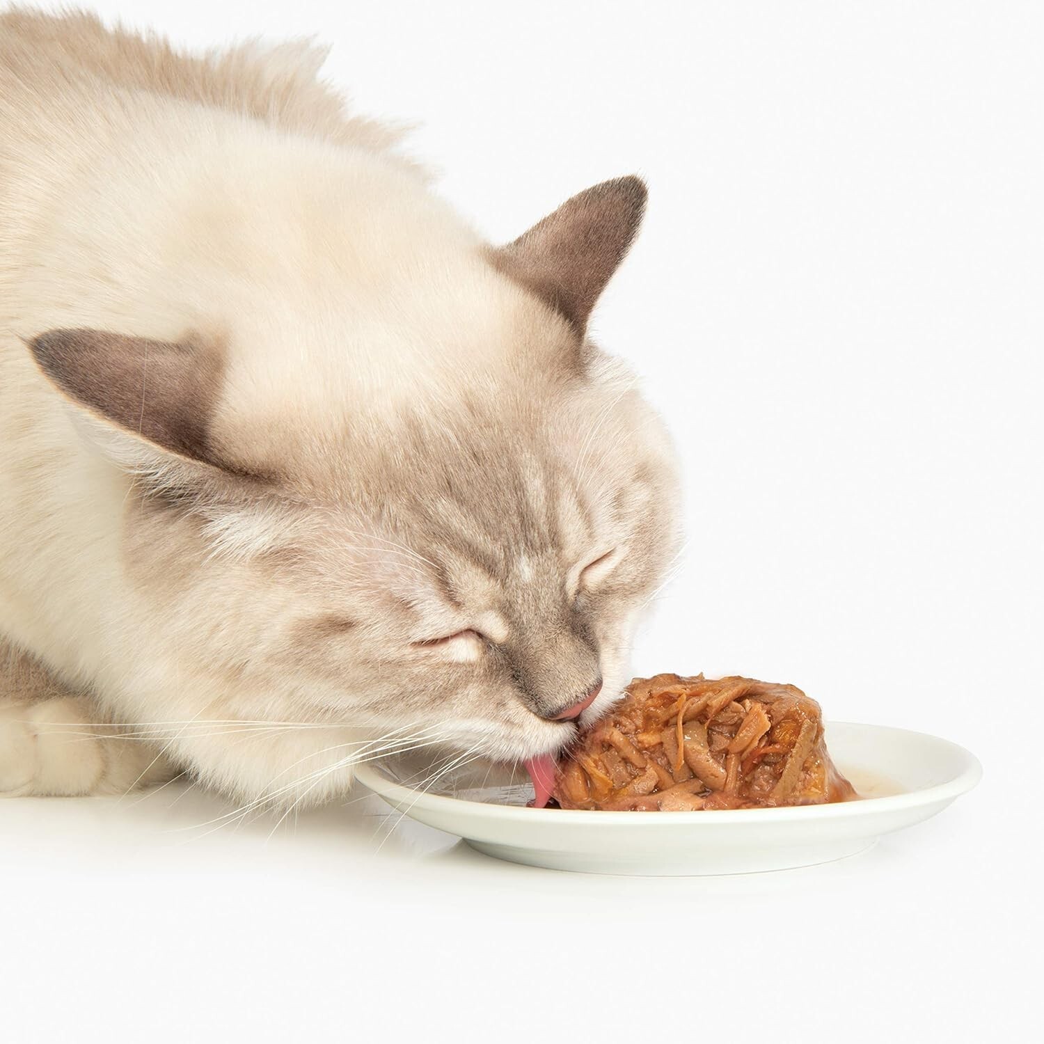 Catit Chicken & Duck Wet Cat Food – Hydrating & Healthy – All Ages
