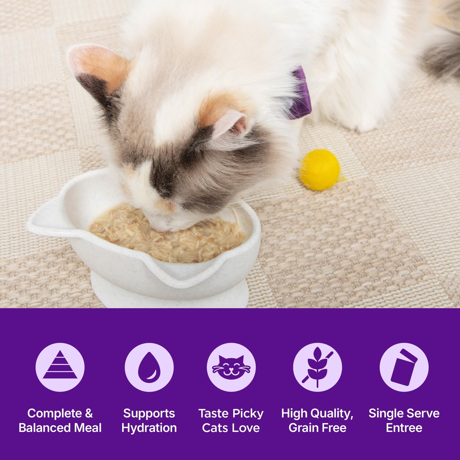 Appetizing Entrées Flaked, Shredded and Mousse Variety Pack Adult Wet Cat Foo…