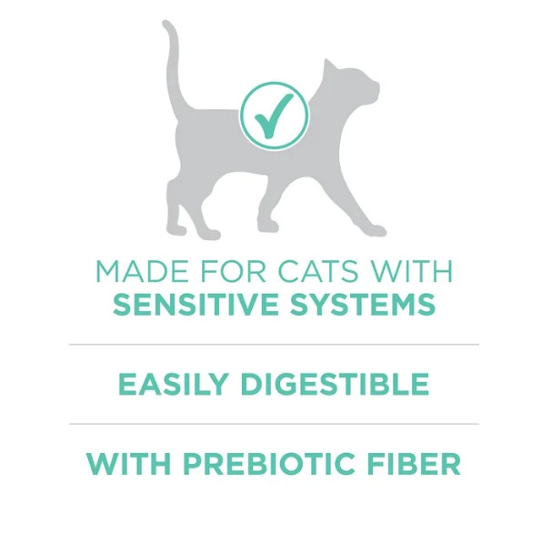 Purina ONE Plus, Sensitive Skin & Stomach, Dry Cat Food, Turkey, 16 lb Bag