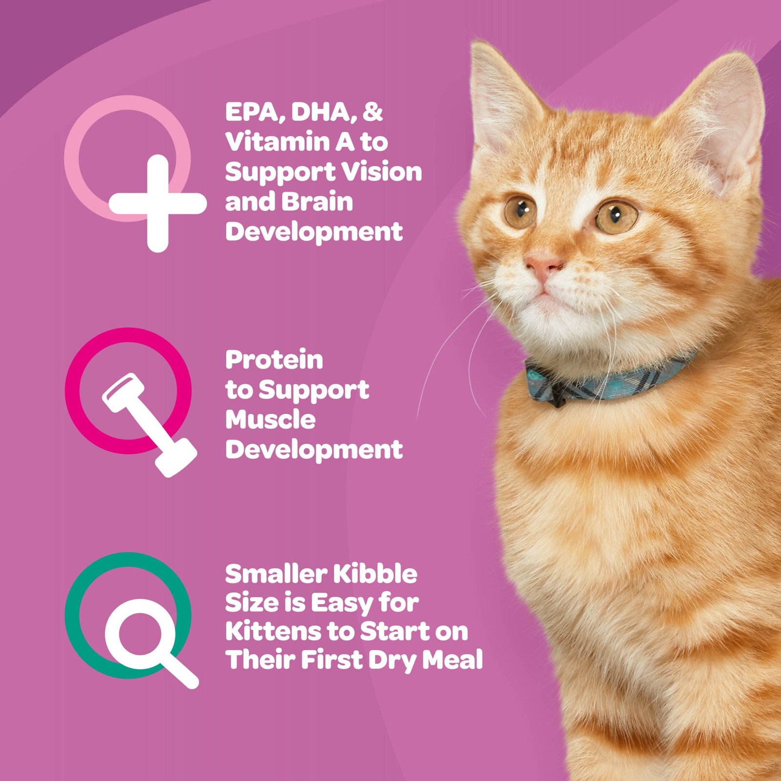 (2 pack) 9Lives Kitten Essentials Chicken & Ocean Fish Dry Cat Food, 2.5lb Bag
