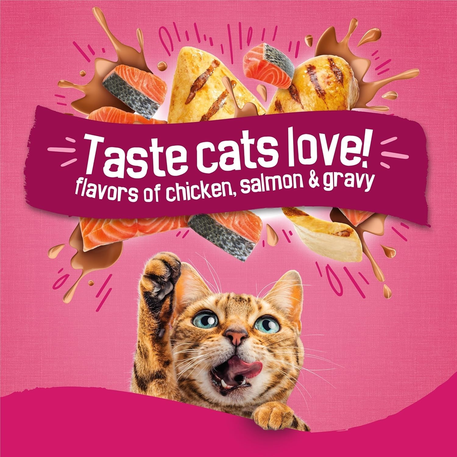 Dry Cat Food Chicken Salmon Gravy Swirlers 22 lb All Life Stages
