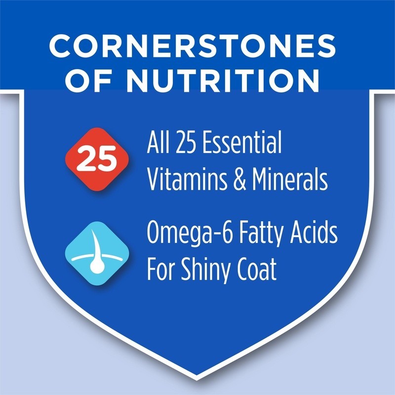 High Protein Dry Cat Food W/ Real Chicken 25 Essential Nutrients All Life Stages