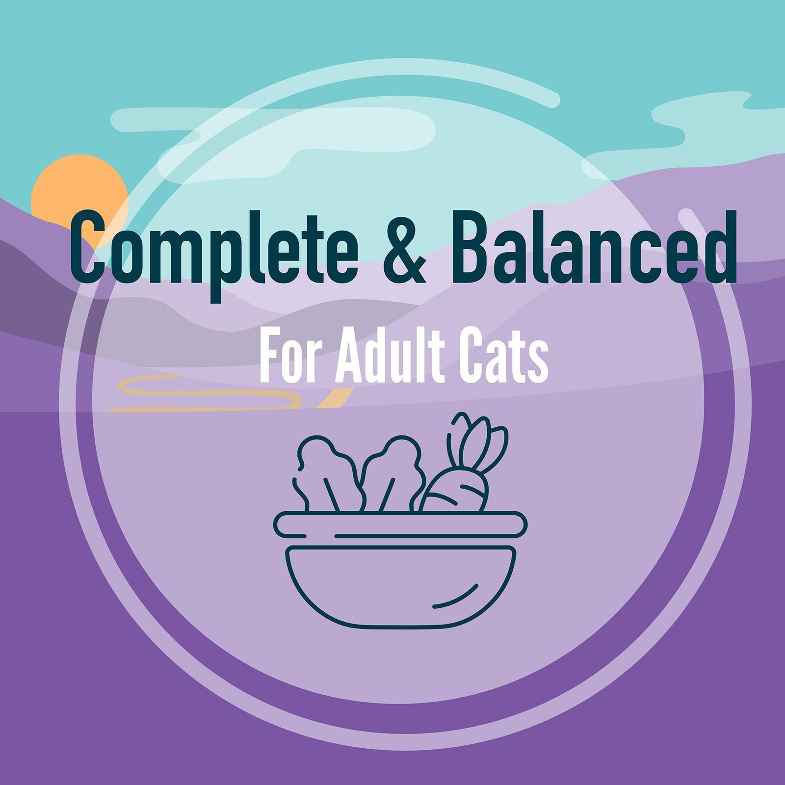 A Strong Heart Canned Wet Cat Food, Chicken, Beef and Salmon Variety Pack – 3…