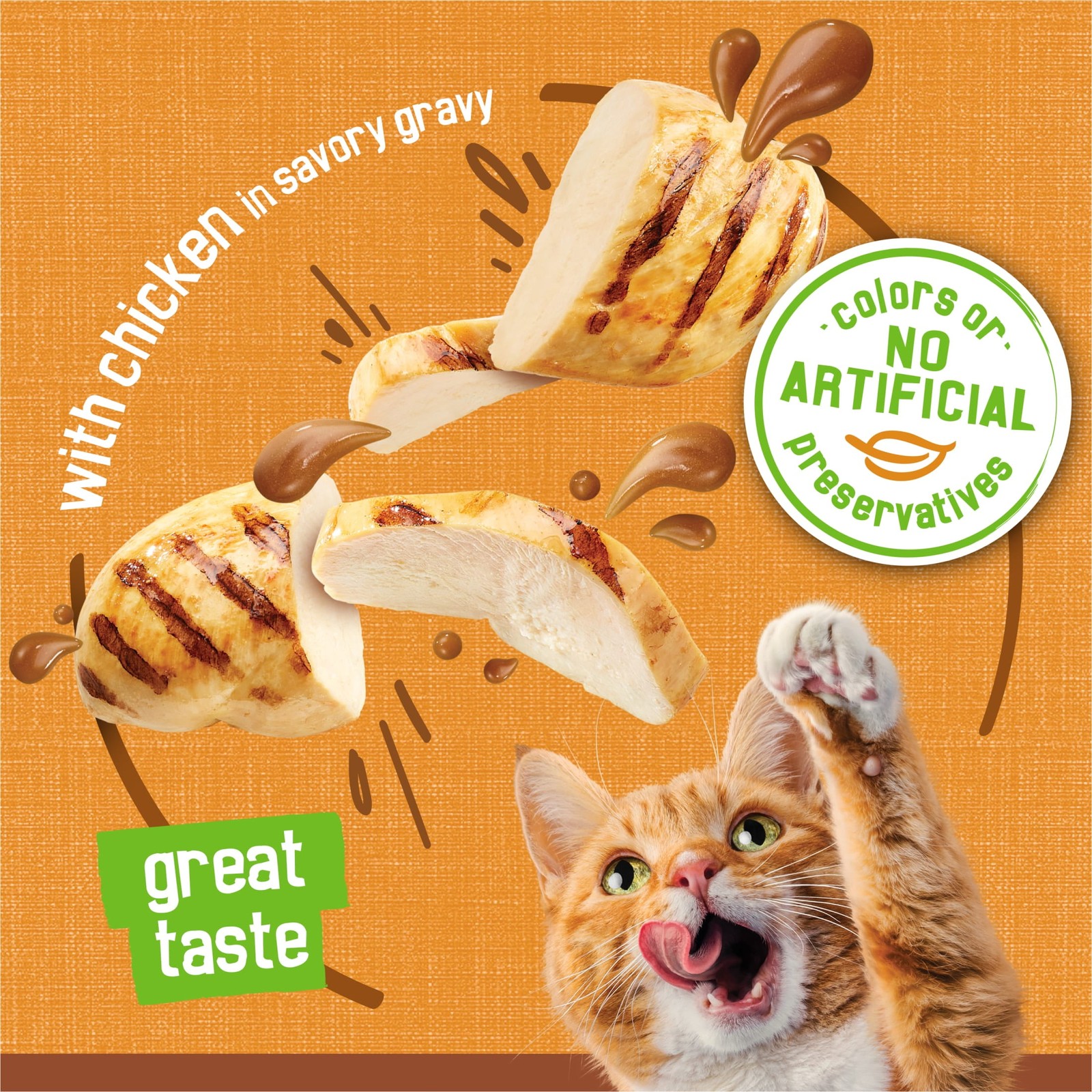 (24 pack) Pate, Extra Gravy with Chicken, Wet Cat Food, 5.5 oz Can