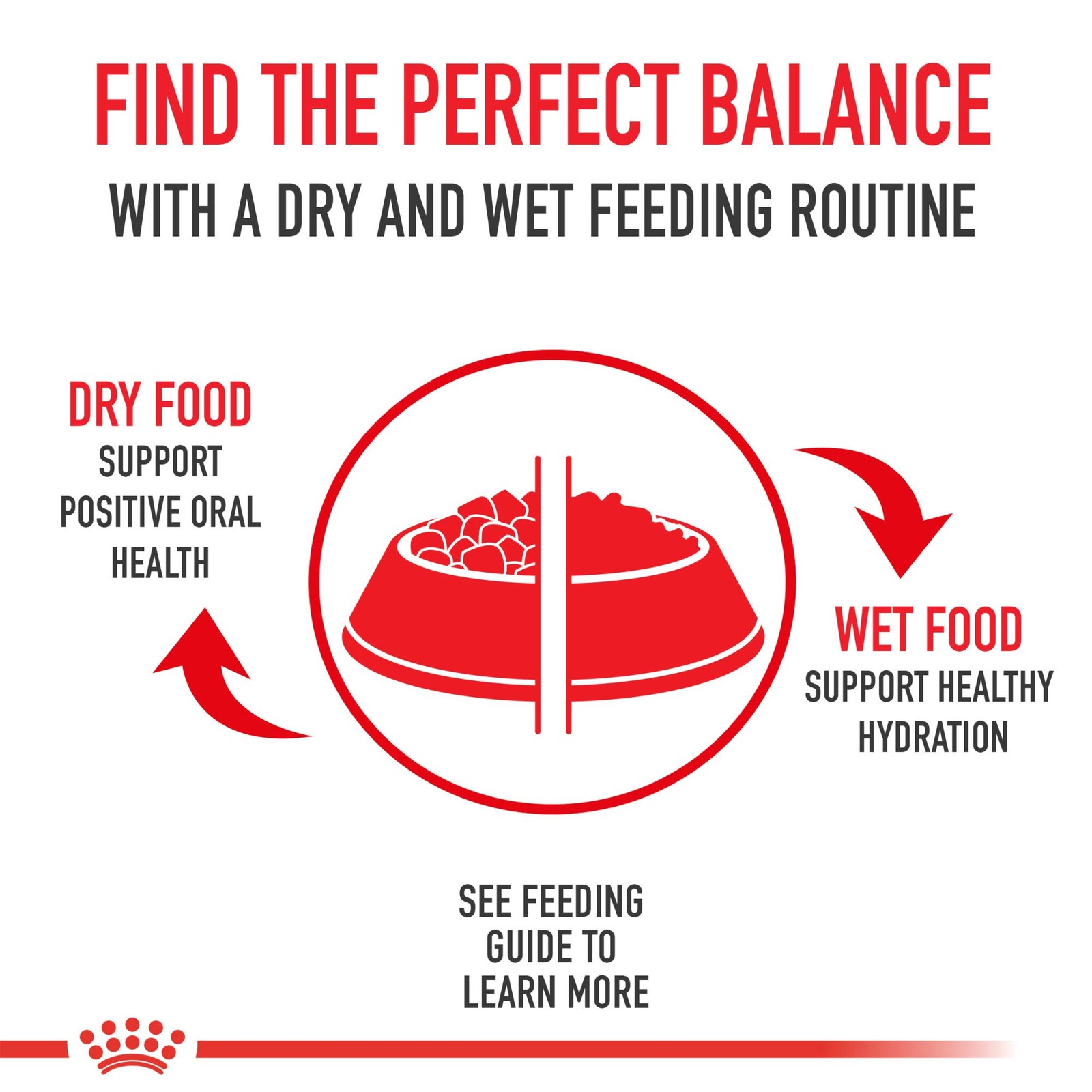 Royal Canin Feline Care Nutrition Digestive Adult 3 Pound (Pack of 1)