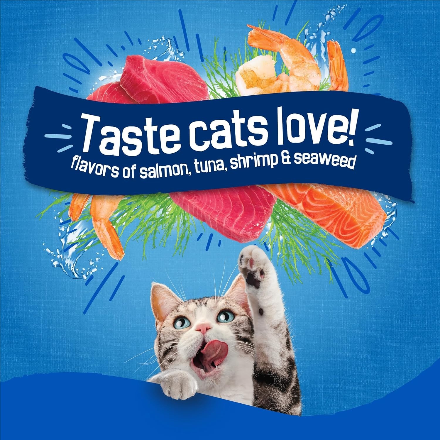 Purina Dry Cat Food Seafood Sensations With Salmon, Tuna, and Shrimp Flavors …