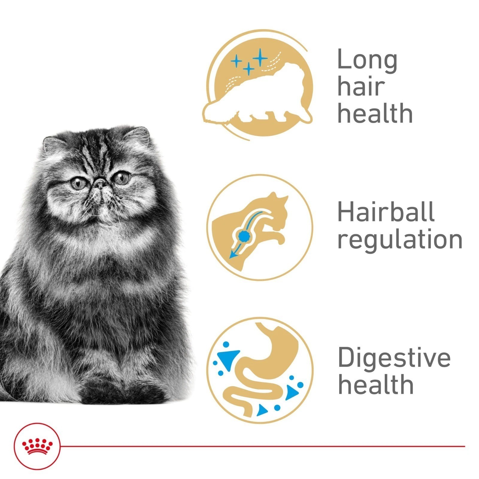 Royal Canin Feline Breed Nutrition Persian Adult Dry Cat Food, 7 lb Bag