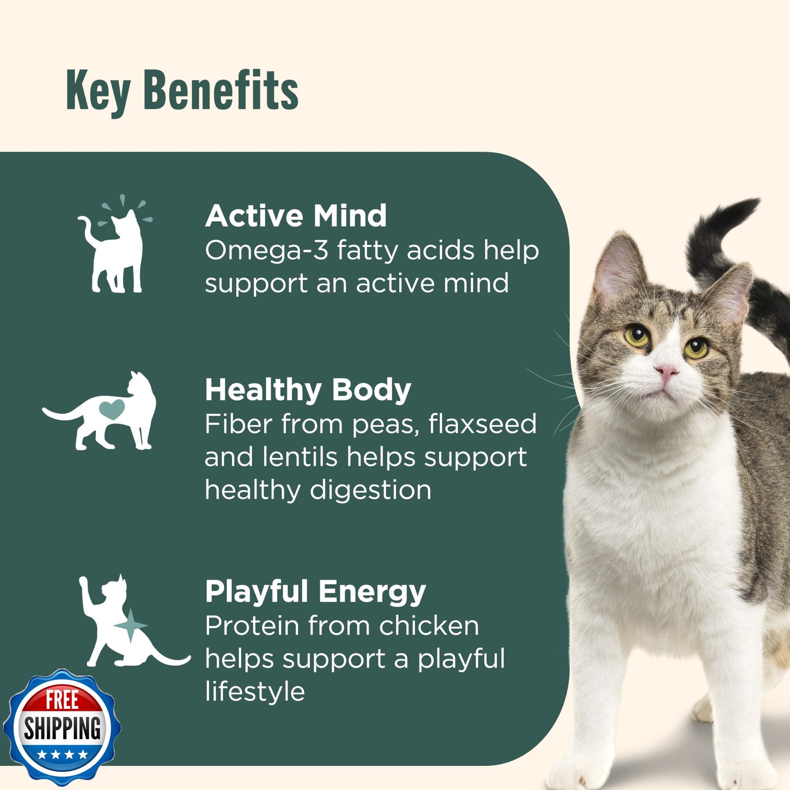 Rachael Ray Nutrish Indoor Complete Premium Natural Dry Cat Food, Chicken wit