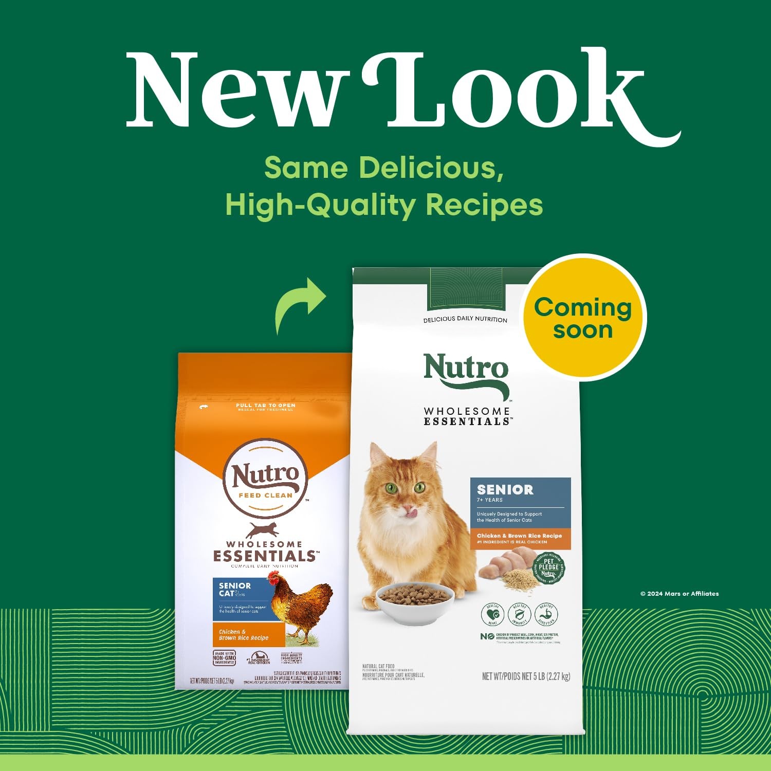 Wholesome Essentials Senior Dry Cat Food, Senior Cat Food Dry Chicken & Brown…