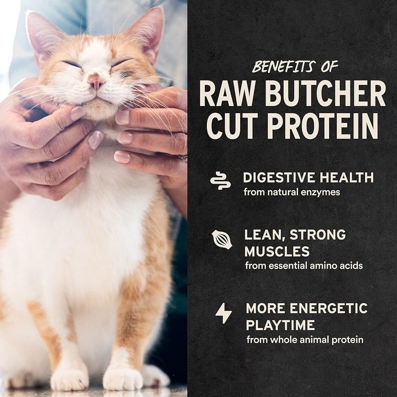 Freeze Dried Cat Treats Raw Protein Nutrient Rich Low Additives Healthy Skin New