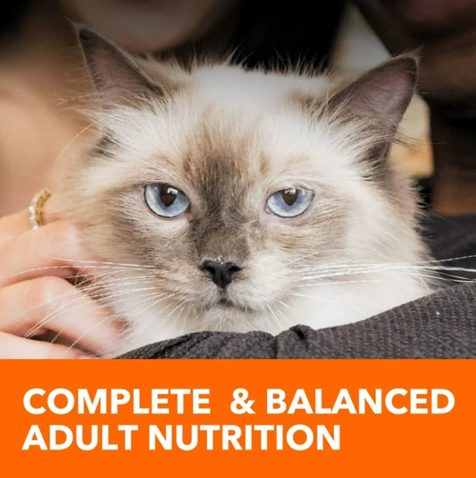 Iams Proactive Health Chicken and Turkey Dry Cat Food, 22 lb Bag