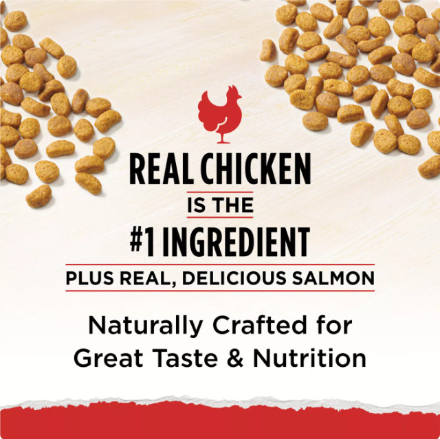 Purina Cat Chow Naturals All Life Stages Cat Food Chicken 18 lb Natural