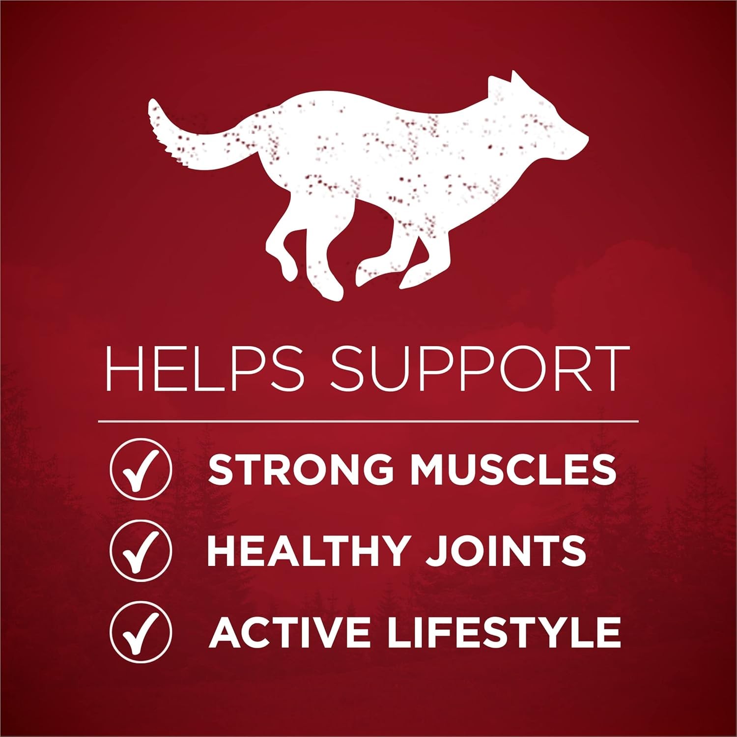 Purina One True Instinct Lean Muscle Support With Real Beef Natural With Added V