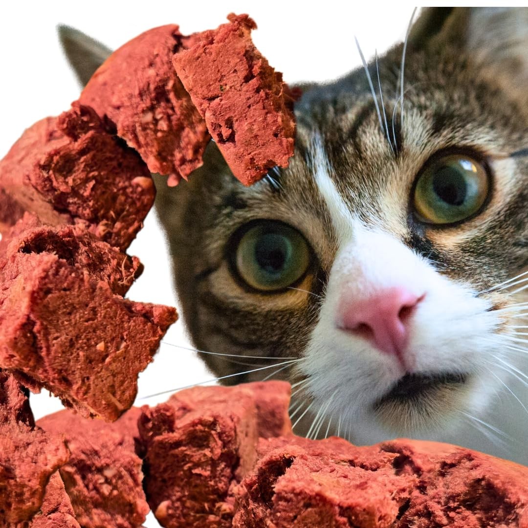 Freeze Dried Complete & Balanced Cat Food Mix | Multi-Protein Meal for Optima…