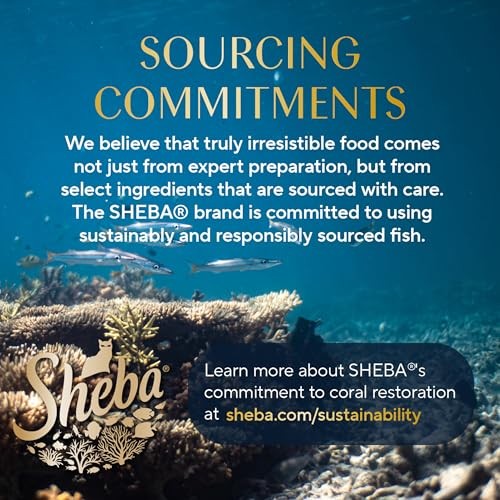 Sheba Perfect Portions Wet Cat Food 12 Count (Pack of 1), Chicken & Turkey
