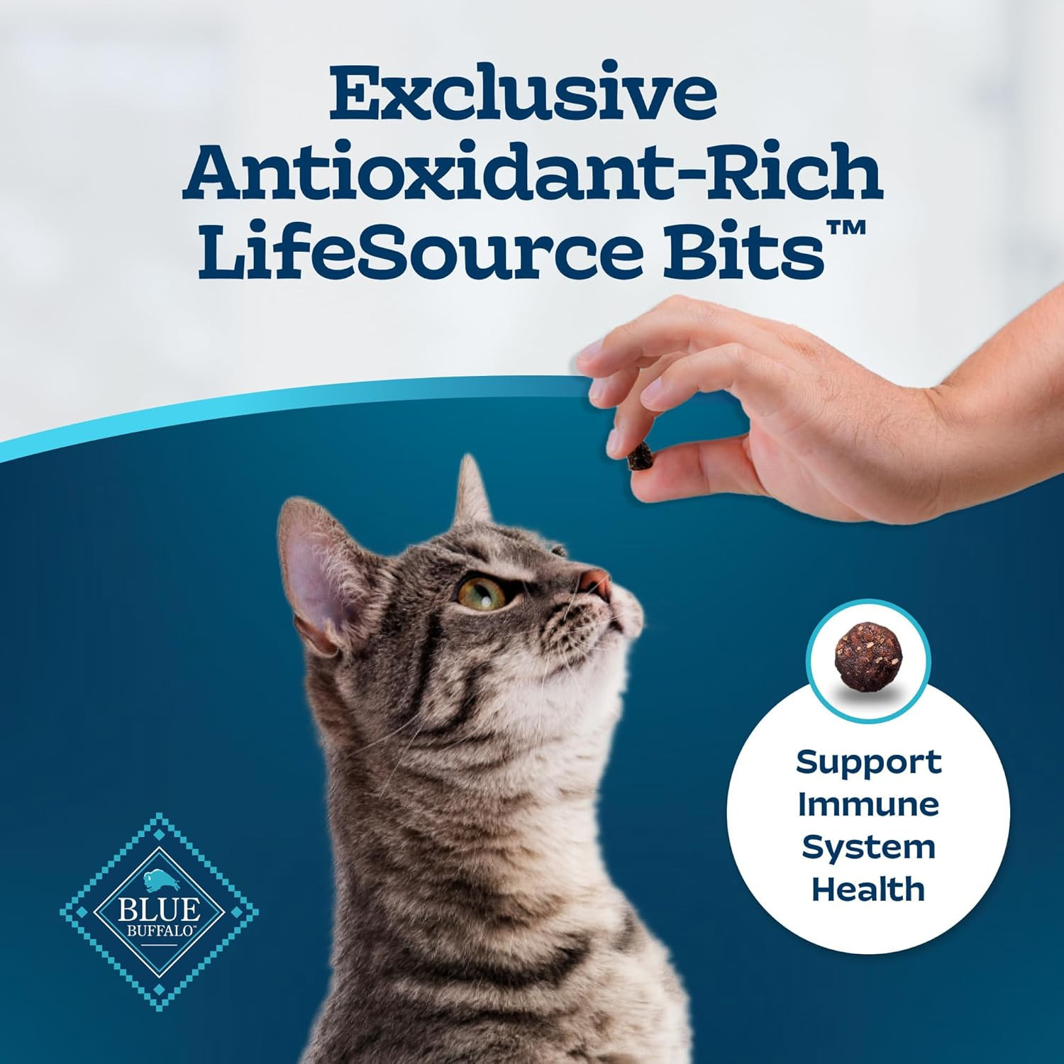Tastefuls Adult Dry Cat Food Indoor Cat Formula, Made in the USA with Natural In