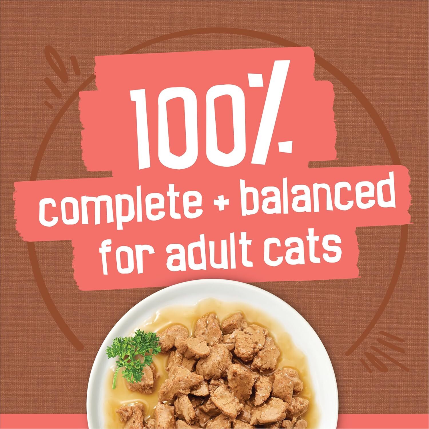 Purina Friskies Extra Gravy Wet Cat Food Chunky Chicken,Turkey (Pck of 24) 5.5oz