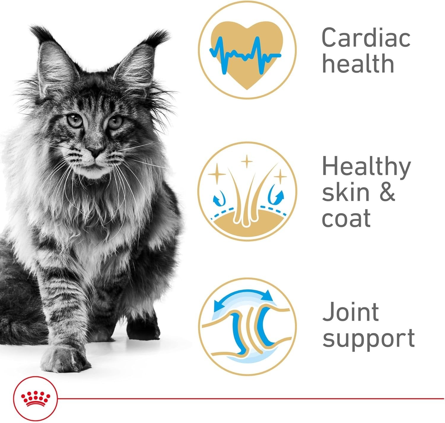 Feline Breed Nutrition Maine Coon Adult Dry Cat Food, 6 lb Bag