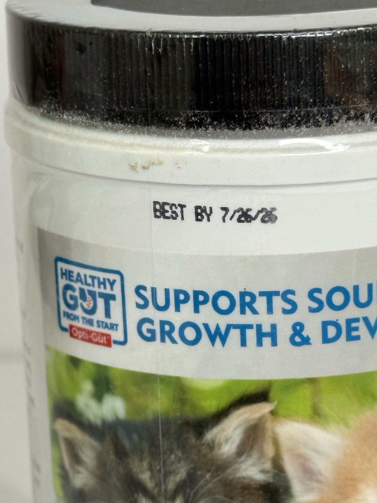 2 Nutri-Vet Milk Replacement For Kittens – 12 Ounce Each BB 7/26/26