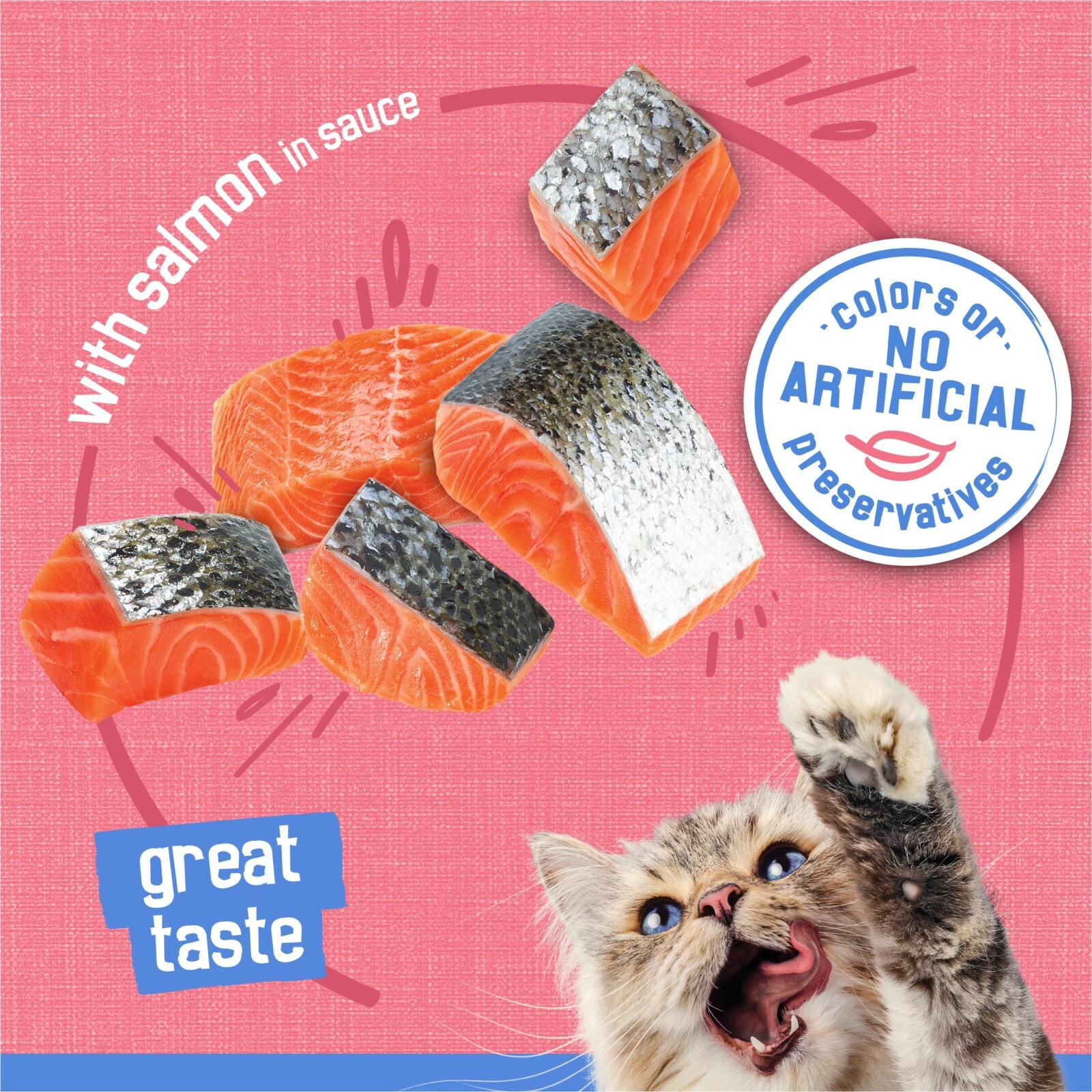 Purina Friskies Shreds With Salmon in Sauce Wet Cat Food – 5.5 Ounce (Pack of 24
