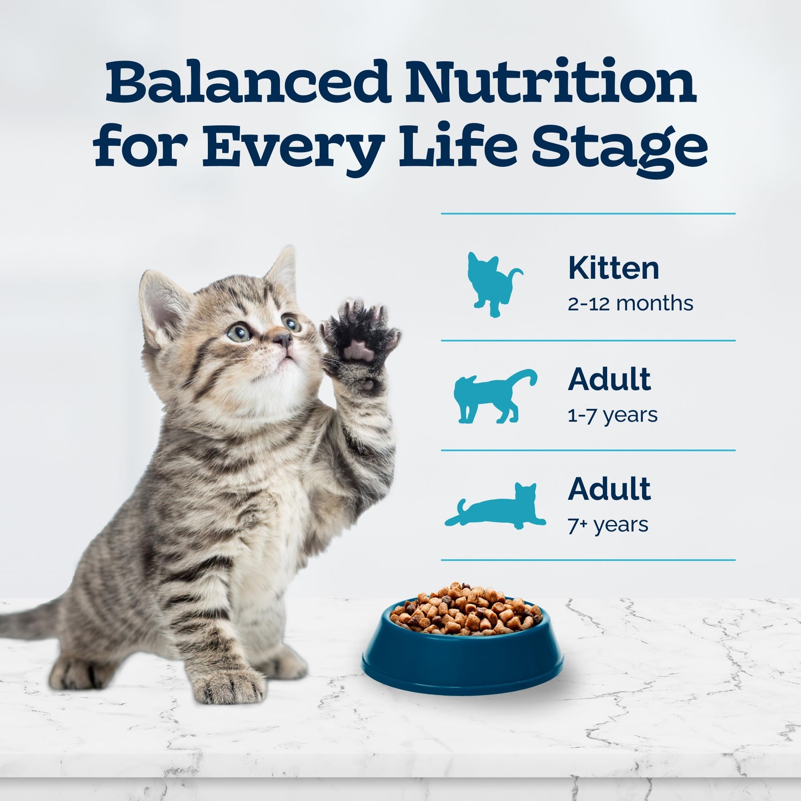 Blue Buffalo Tastefuls Kitten Dry Cat Food Chicken Recipe 12 Pack 3 lb