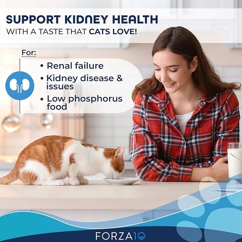 Lamb Flavor Wet Cat Food Kidney Renal Care Adult Canned Nutrition 32 Pack