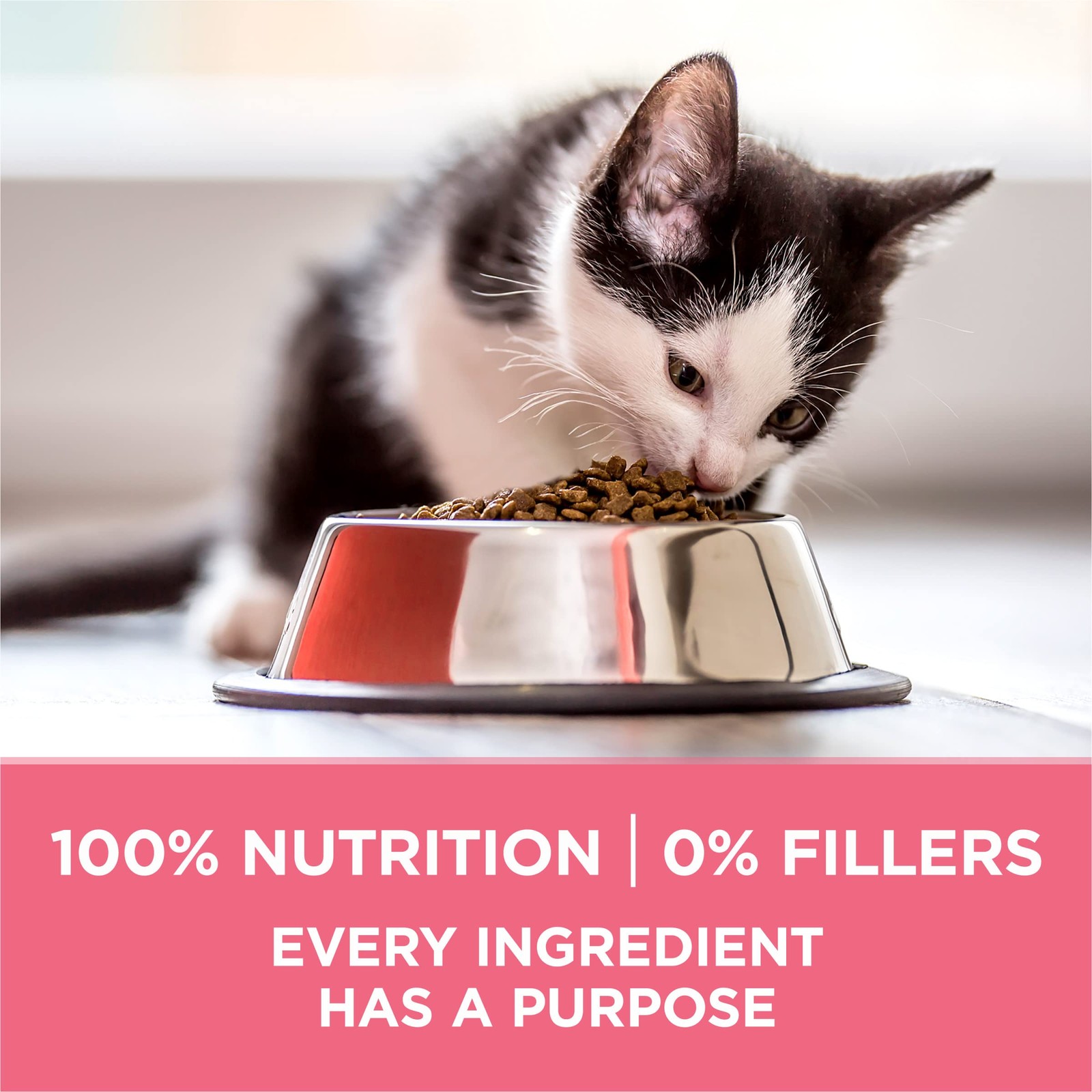 Purina ONE High Protein, Natural Dry Kitten Food, +Plus 7 Pound (Pack of 1)