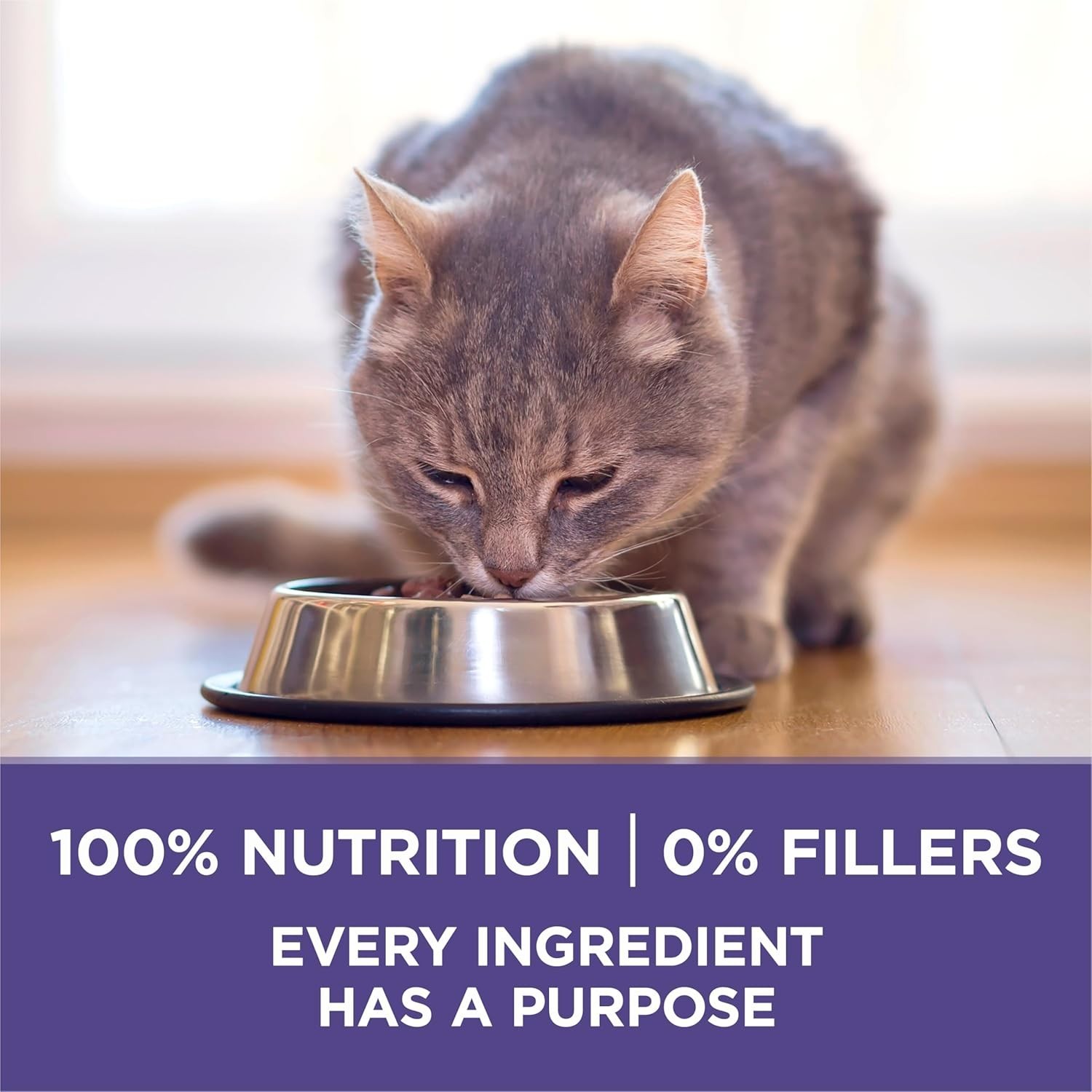 High-Protein Chicken Cat Food with Hairball Control – 16 lb All-Natural Formula