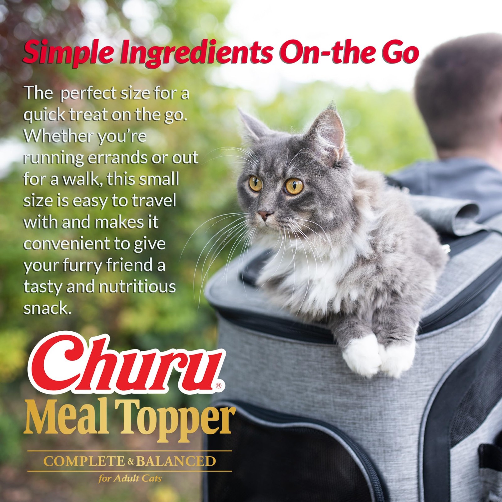 INABA Churu Meal Topper for Cats, Complete & Balanced, 1 Count (Pack of 24)