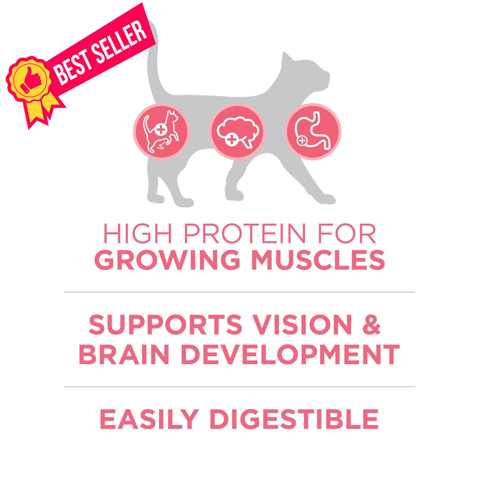 Purina ONE High Protein, Natural Dry Kitten Food, 7 Pound (Pack of 1), Other