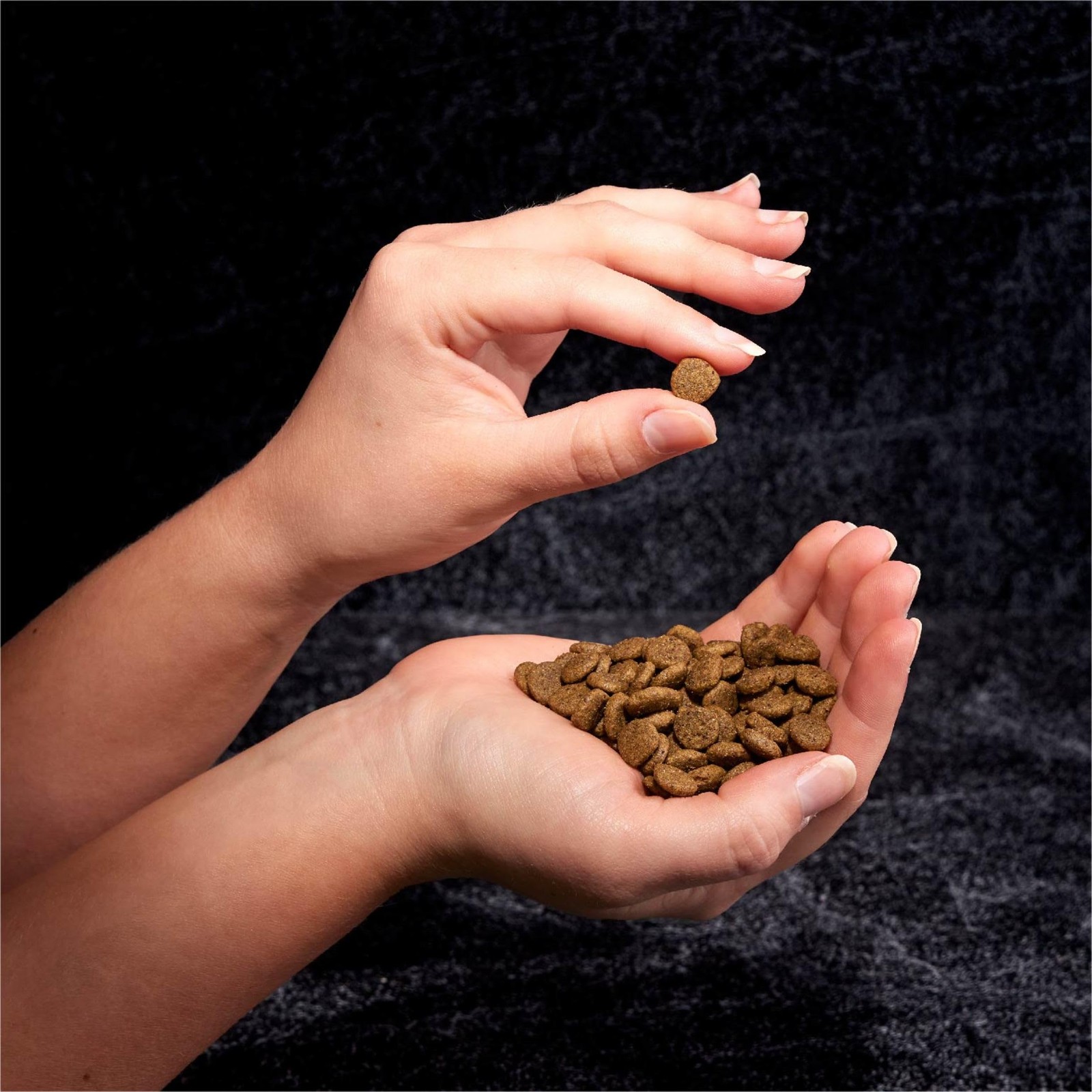 Grain Free Adult High Protein Natural Dry Cat Food with Protein from Salmon &…