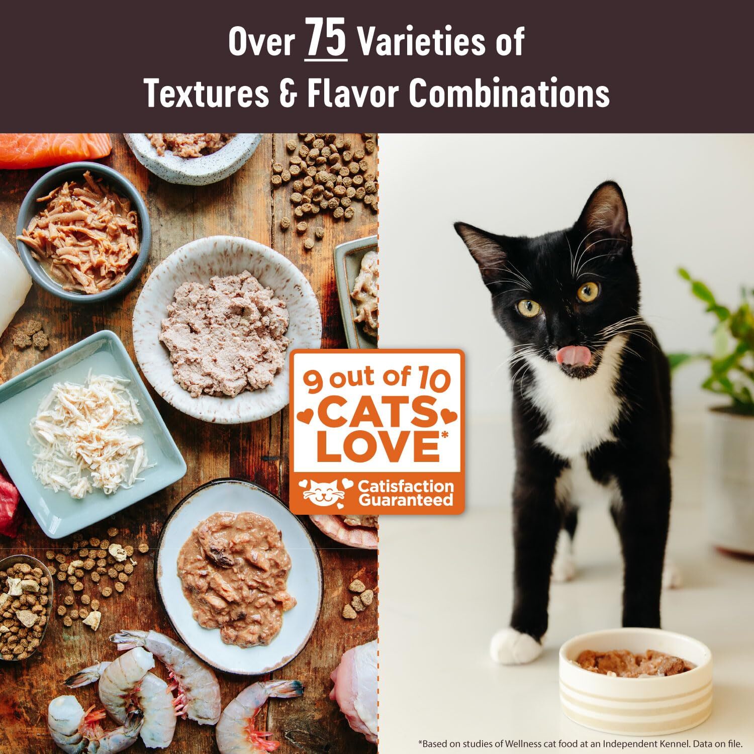 Wellness CORE Tiny Tasters Grain Free Tuna Salmon Wet Cat Food Pouch 12 Pack