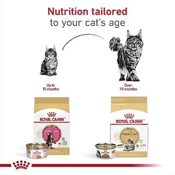 2 Pack Royal Canin Feline Breed Nutrition Maine Coon Kitten Dry Cat Food, 3 lb.